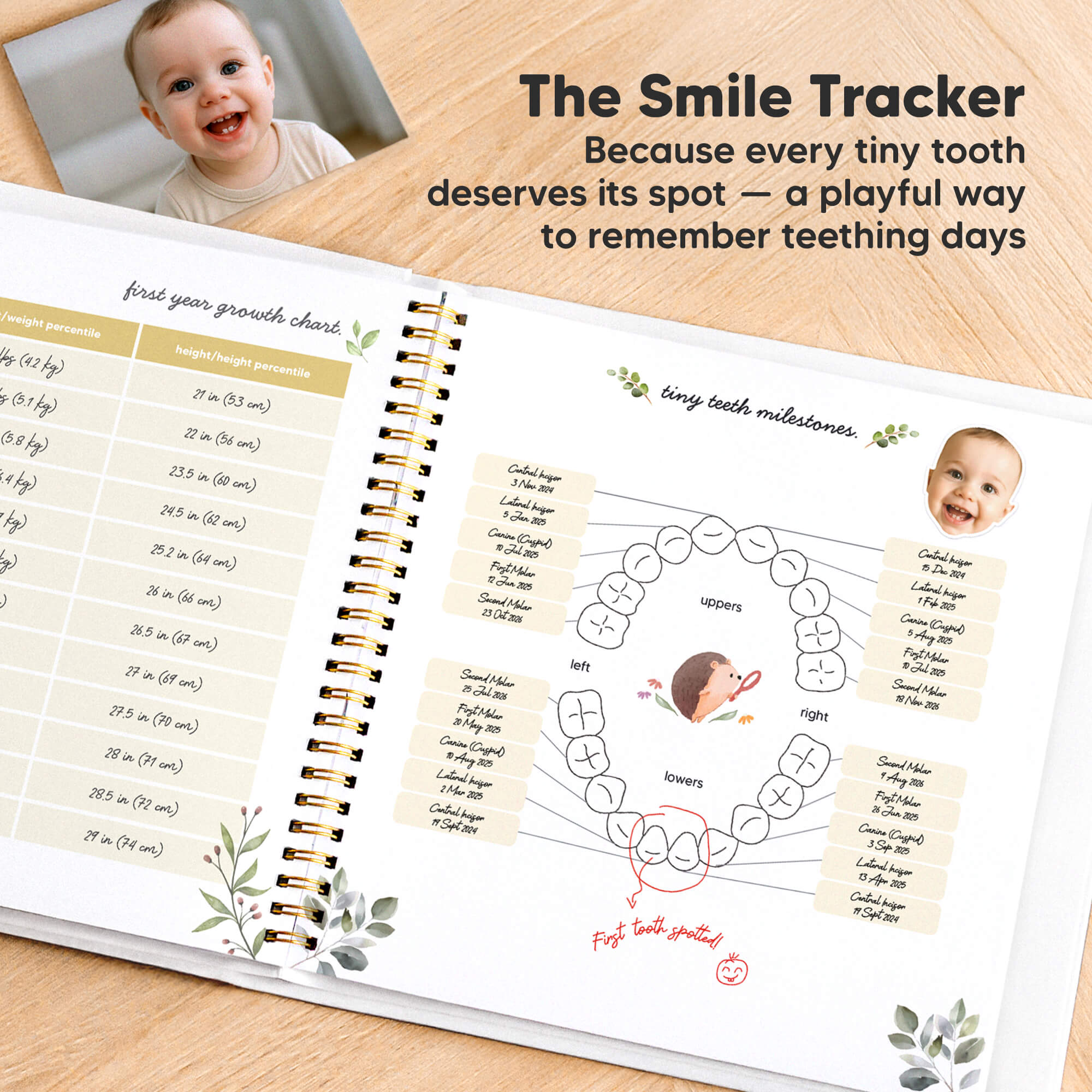 keababies-muse-baby-memory-book-babyalbum-bis-5-jahre image 7