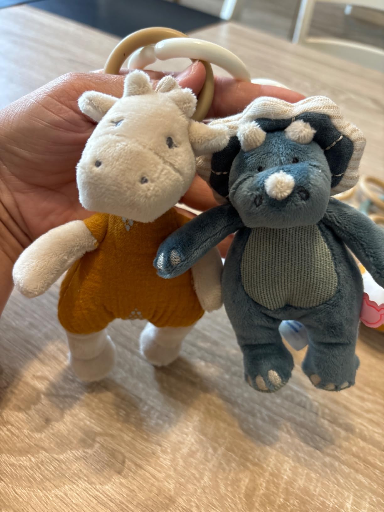 Ideal als kleines Geschenk